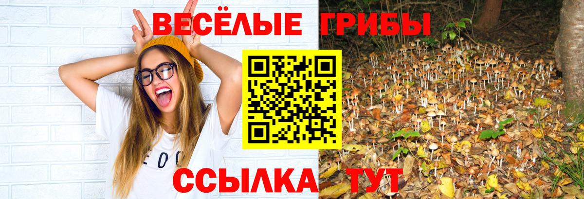 Галлюциногенные грибы Magic Shrooms  Вход с VPN  Чита 